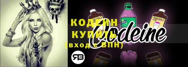 ГАЛЛЮЦИНОГЕННЫЕ ГРИБЫ Гусь-Хрустальный