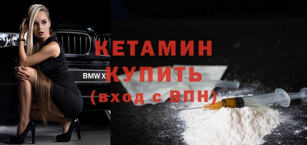 сатива Гусев