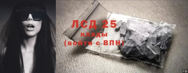 сатива Гусев