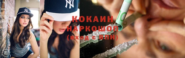 ГАЛЛЮЦИНОГЕННЫЕ ГРИБЫ Гусь-Хрустальный