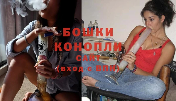 сатива Гусев