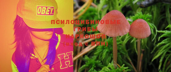сатива Гусев