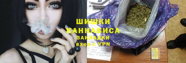 ГАЛЛЮЦИНОГЕННЫЕ ГРИБЫ Гусь-Хрустальный