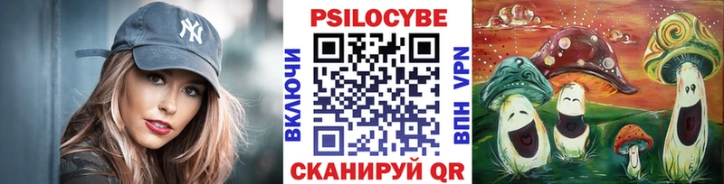 Купить где  Пущино  Псилоцибиновые грибы Magic Shrooms 